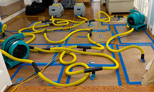Professional Burst Pipe Water Damage technician working in Clarksville, MI