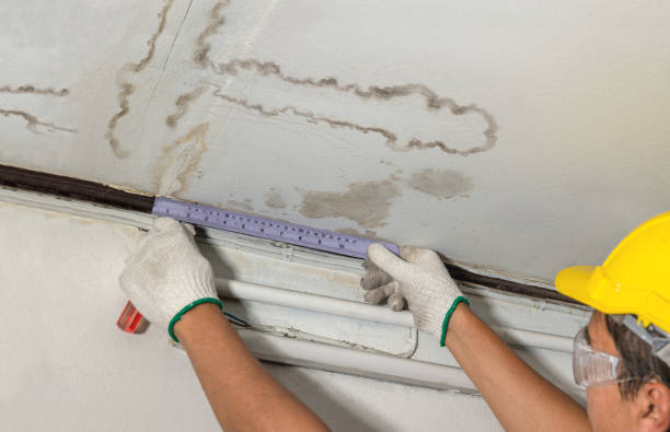 Affordable Water Damage Repair solutions in Clarksville, MI